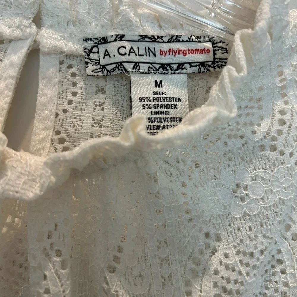 Anthropologie Flying Tomato lace mock neck puff sleeve top NWOT